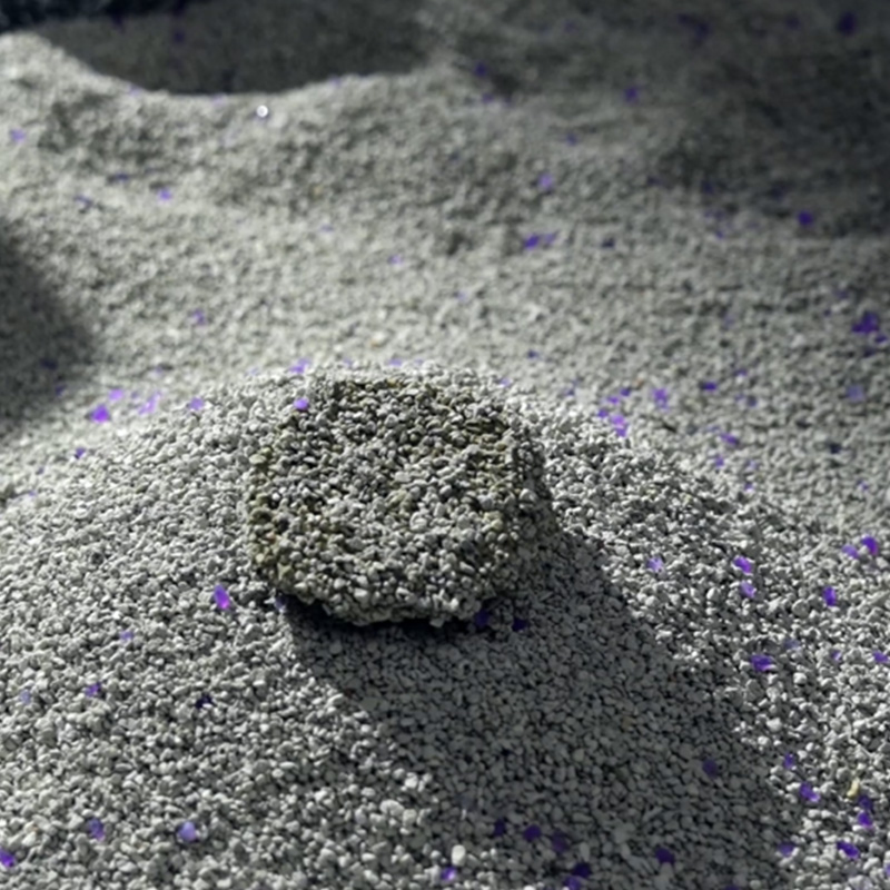 An Bruscar Cat Mianra is Fearr a Roghnú: Leideanna Praiticiúla le haghaidh Baile Níos Glaine